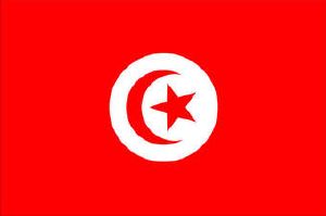 Compass Marine Printed Courtesy Flag - Tunisia