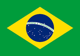 Compass Marine Printed Courtesy Flag - Brazil
